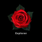 Red-Explorer