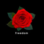 Red-Freedom