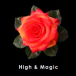 Red-High-and-Magic