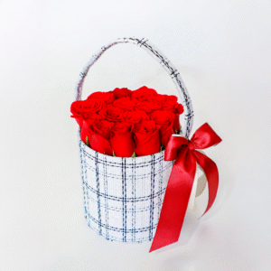 Skarlet Basket