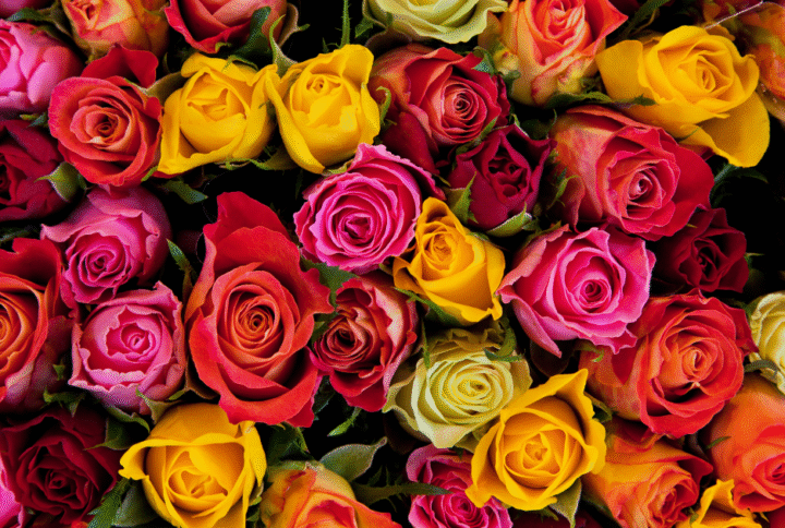 Floral Trends 2025: Colors, Styles & Must-Have Arrangements