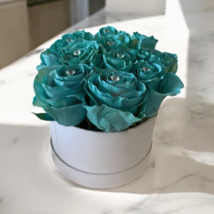 Aqua Charm