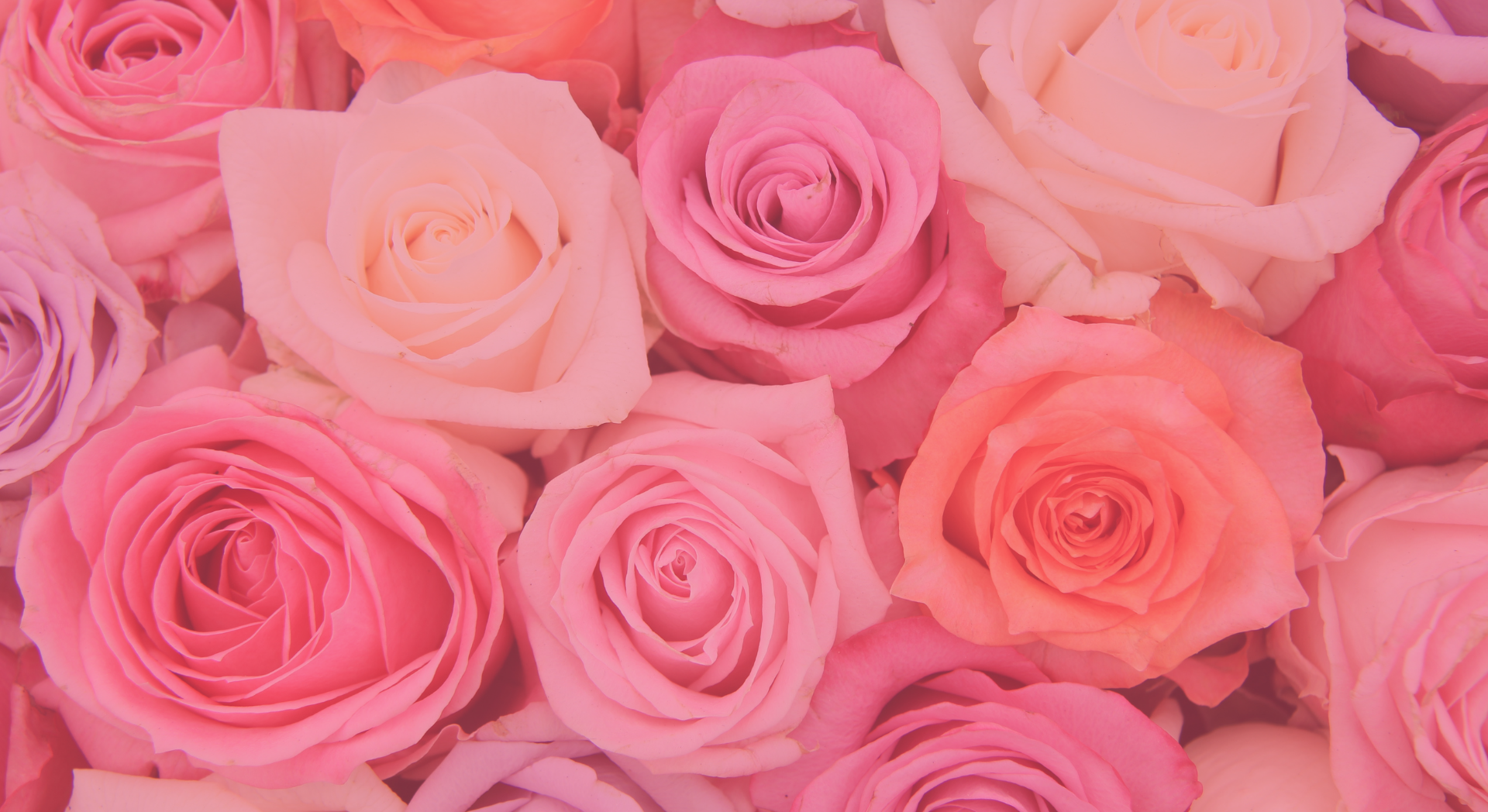 Image Slider