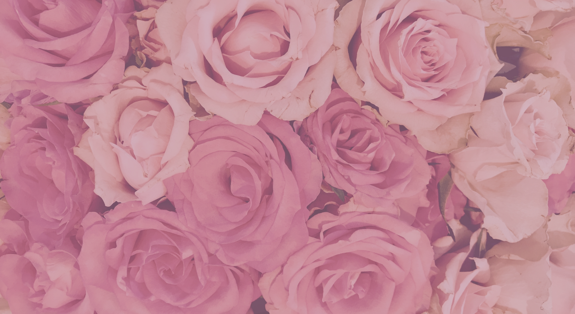 Image Slider